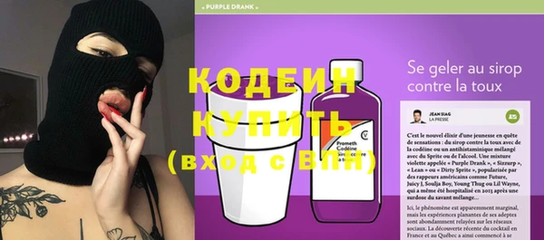 молекула духа Ладушкин