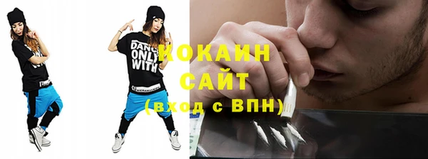 спиды Каменногорск
