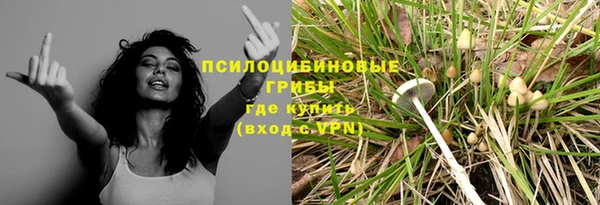 спиды Карпинск