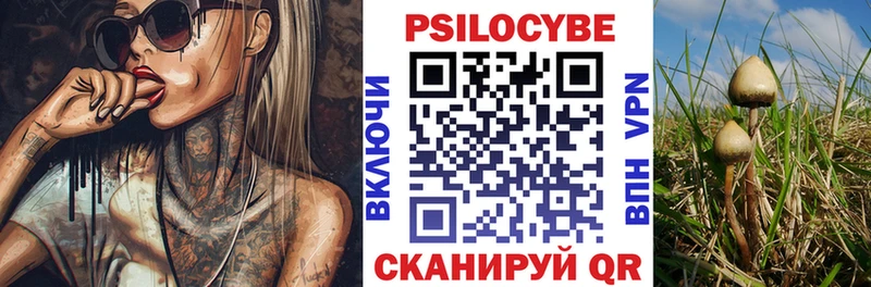 Псилоцибиновые грибы прущие грибы  Кимовск 